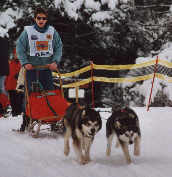 Zara et Wolf BT La Joue Du Loup 2002