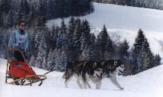 Zara et Wolf BT Meaudre 2003 2x25km