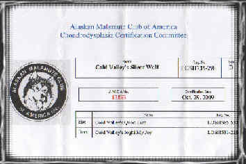 Certifié CHD N°13893