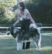 Wolf à la nationale d'élevage 2004