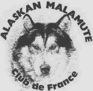 Alaskan Malamute Club de France
