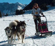 Phantom et Lady au BT de l'Alpe du grand serre 2005